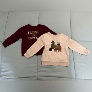 Bundle of two Garanimals Sweater